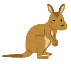 french letter un kangourou