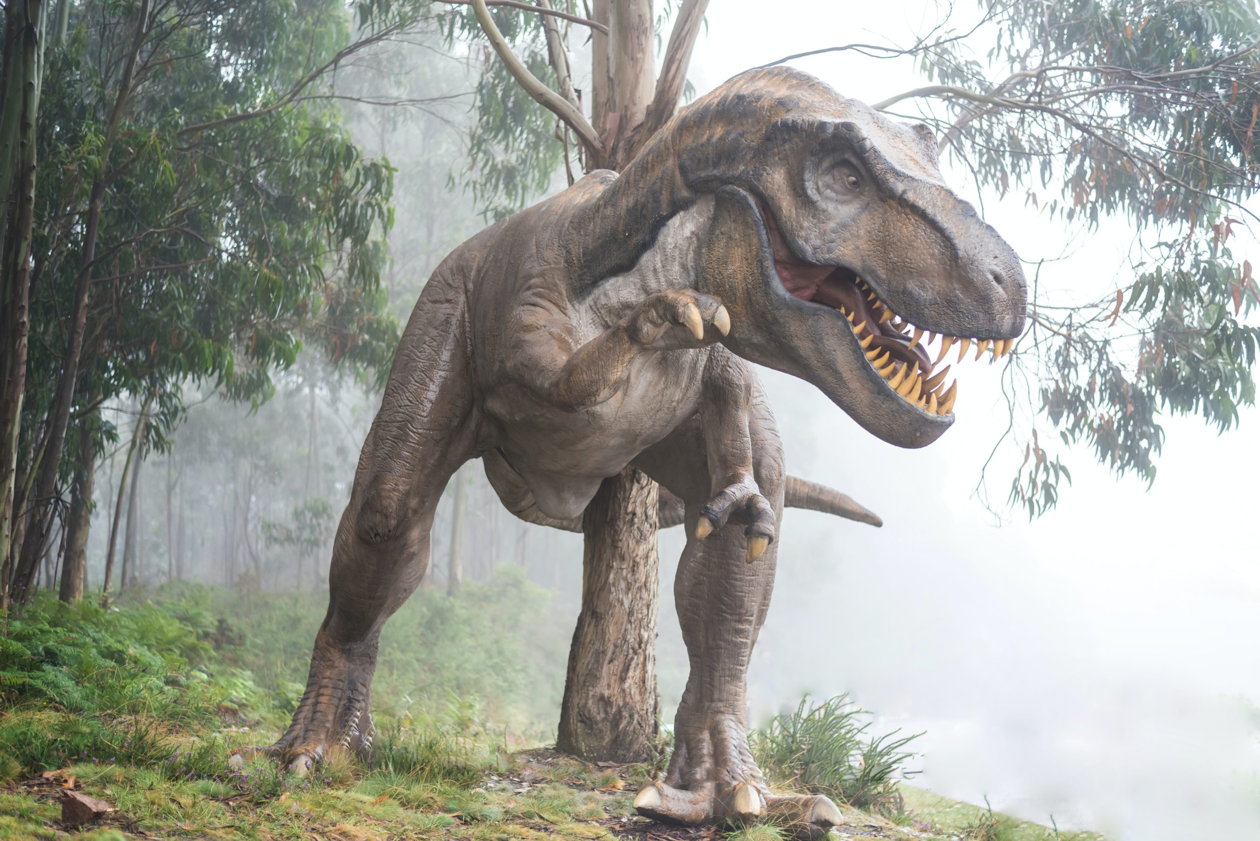dinosaure extinction teacher ilca
