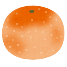 french letter une orange